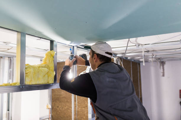 Best Insulation for Specific Applications in Lockport, LA