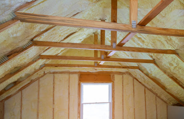Best Residential Insulation in Lockport, LA