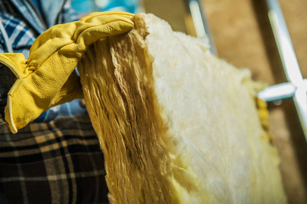 Best Spray Foam Insulation in Lockport, LA