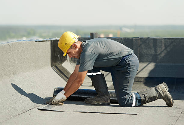 Best Eco-Friendly Insulation in Lockport, LA