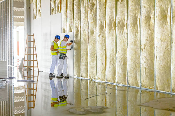 Best Blown-in Insulation in Lockport, LA